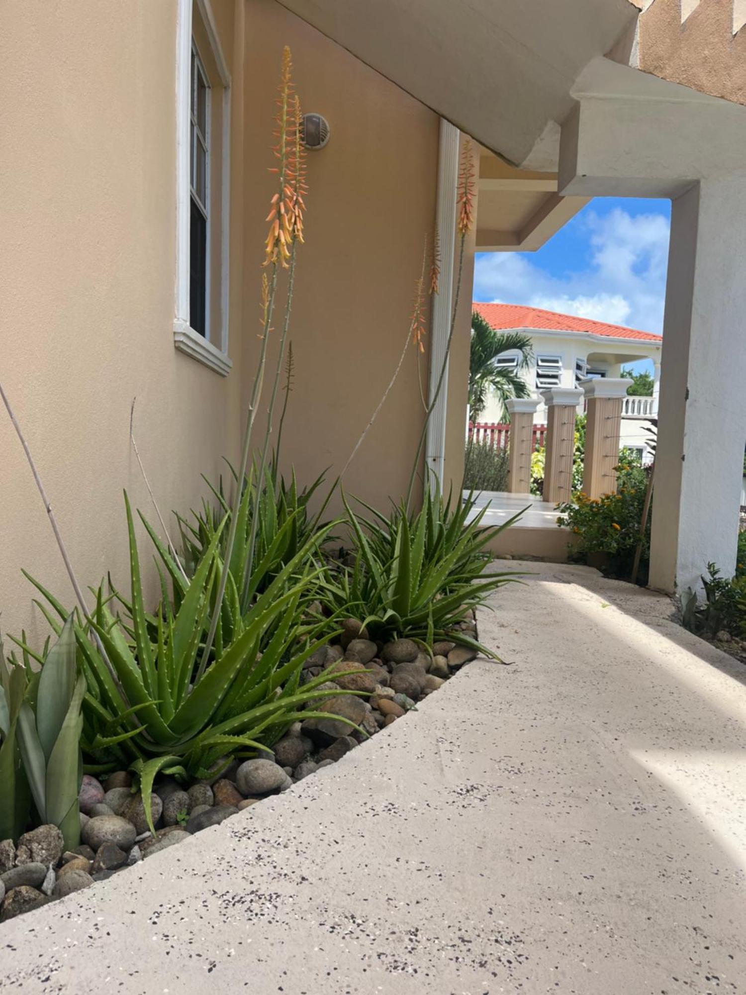 Appartement Belle Breeze Haven à Gros Islet Extérieur photo